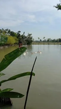 River view Stock Photos