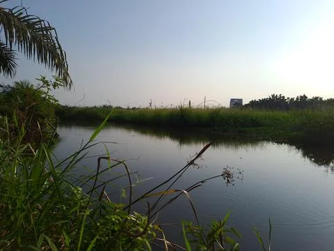 The river view Stock Photos