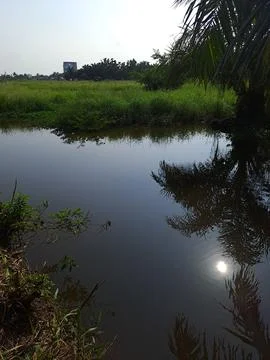 The river view Stock Photos