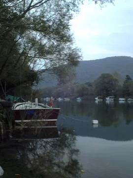 The river view Stock Photos