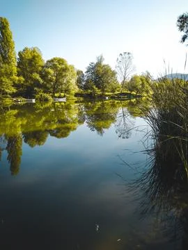 The river view Stock Photos