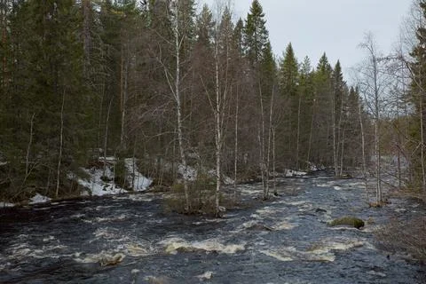 River view. Stock Photos