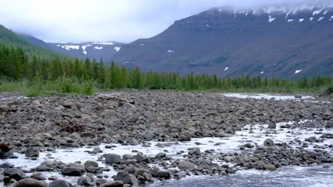 River view at Putorana plateau Stock Footage 170031631