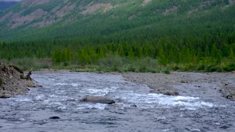 River view at Putorana plateau Stock Footage 170031650