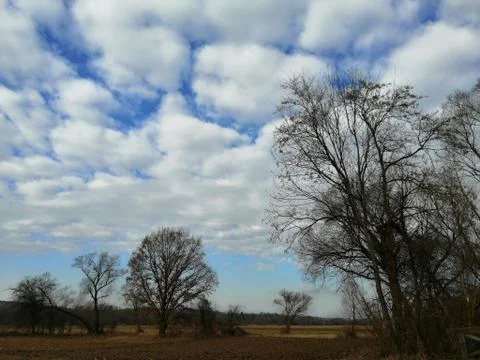 RIVER-VIEW shot...... trees  frontground.... SERIE 1. from 16 Stock Photos