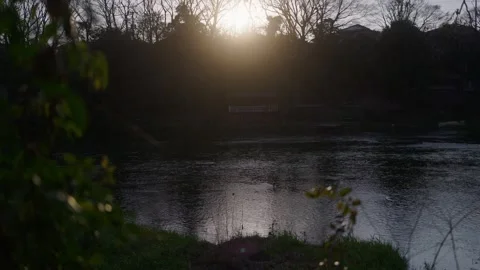 A river view at sunset Stock Footage 329671317