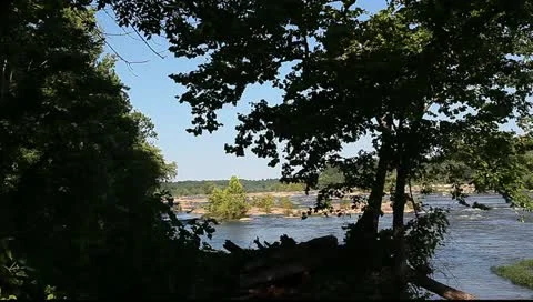 River view through trees Stock Footage 11137126