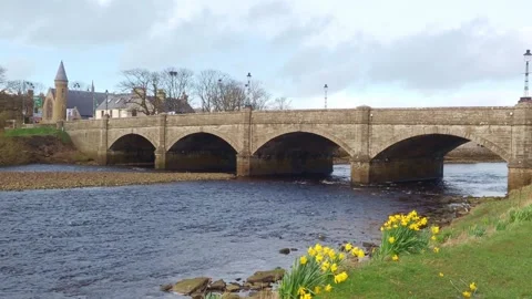 River View in Thurso with Bridge and Daffodils in the Foreground on a Spring Day Stock Footage 332069185
