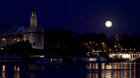 River view of the Torre del Oro in Seville Stock Footage 159175012