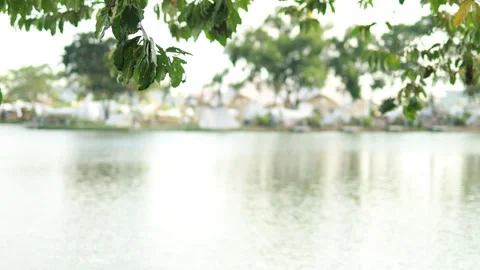 River view with trees and blurred camping scene, natural and relaxing Stock Footage 328213971