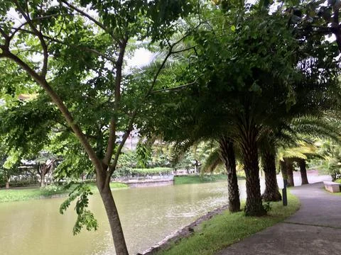 River view with trees and grass Stock Photos