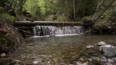 River view with very clear water Stock-Footage 210150641