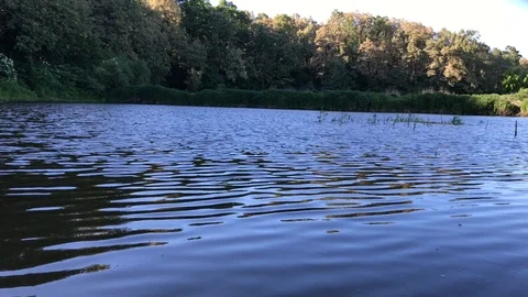 River in the Village Stock Footage 90300965