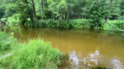 River in the village 動画素材 147980559