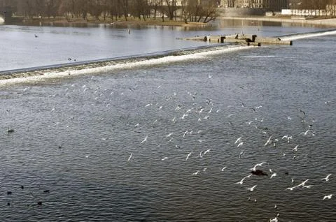 The river Vltava Stock Photos