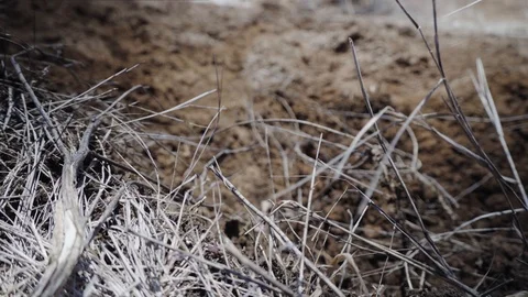 River vorskla 4 스톡 동영상 104506659