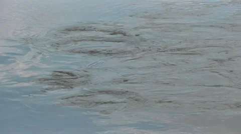 River vortex. danger Stock Footage 54216935