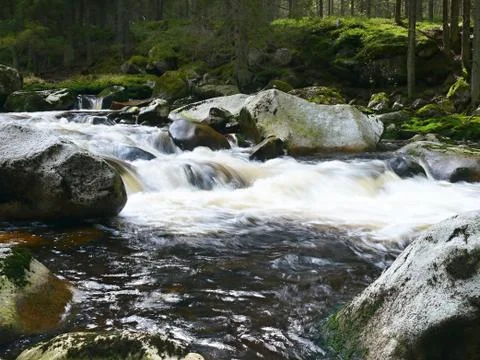 River Vydra Foto stock