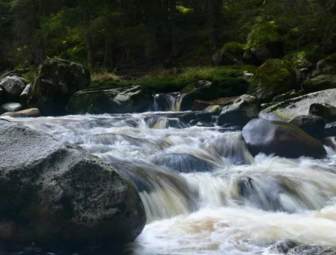 River Vydra Stock Photos