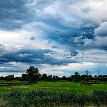River Warta at dawn Foto stock