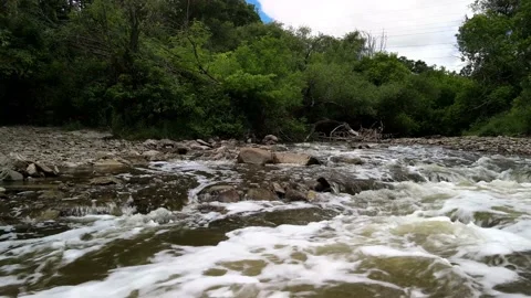 By the river watching the stream flow down with the forest behind Stockbeeldmateriaal 133644215