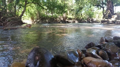 River water (4) Stockbeeldmateriaal 333903052