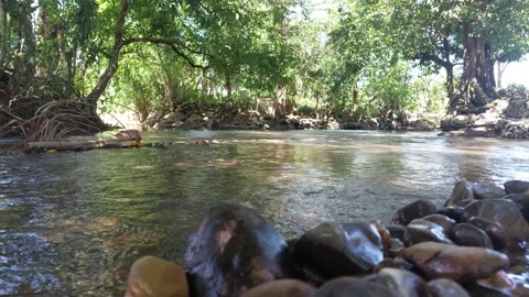 River water (5) Stock Footage 333904095