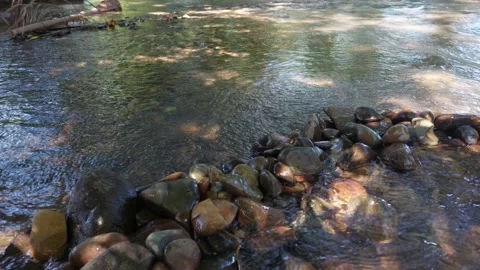 River water (6) Stockbeeldmateriaal 333904293