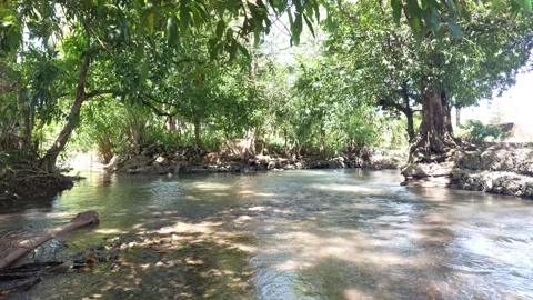 River water (9) Stock Footage 333904401