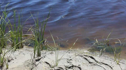 River water with algae 10439 스톡 동영상 43297587