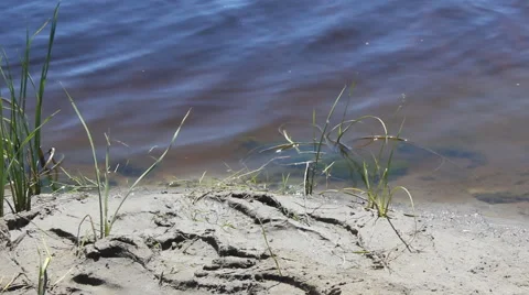 River water with algae 10442 Stock Footage 43297340