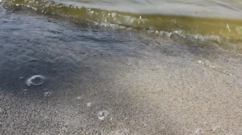 River water with algae 10538 Stock Footage 47862339