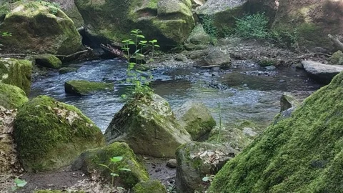 River water between rock 스톡 동영상 242452579