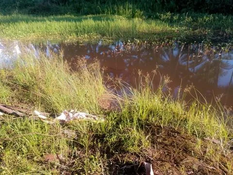 The river water is brown Stock Photos