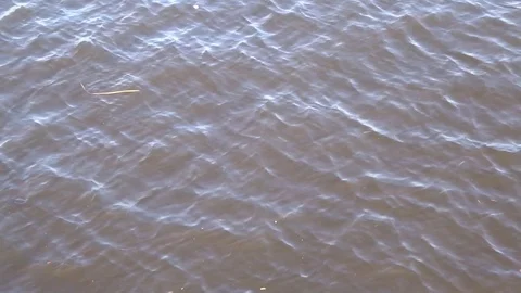 River water close up Stock Footage 97918697