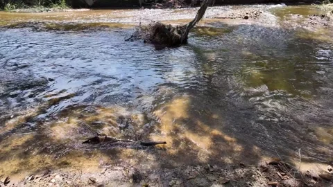 River Water - Close Up Stock Footage 263882044