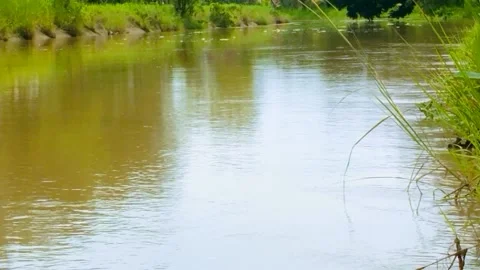 River Water Currents Stock Footage 231271536