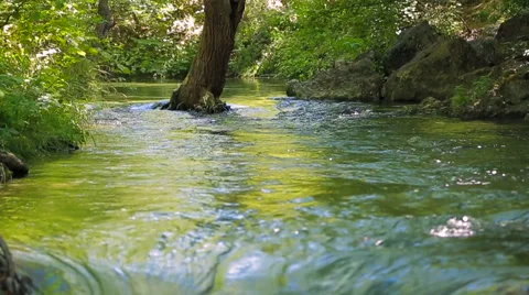 River Water Falling In the Forest. Audio 스톡 동영상 46328216