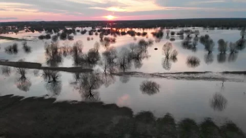River water flooded fields and meadows and forest. Stock Footage 231164689