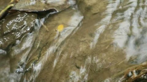 River water flow and distinctive sound Stock Footage 330802451
