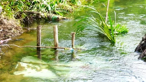 The river water flow is calming Stock Footage 267861064