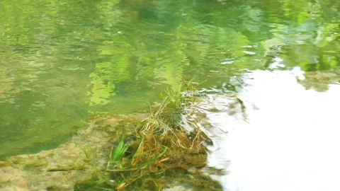 The river water flow is calming Stock Footage 267861160