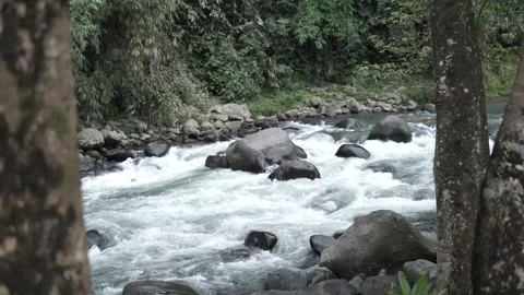 River water flow 스톡 동영상 225885187