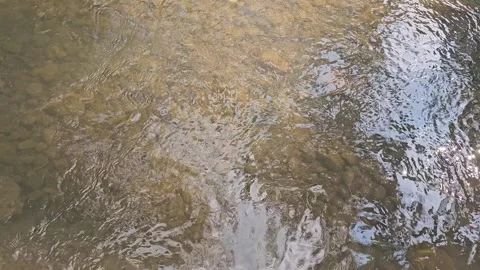 River water flow Stock Footage 252379224