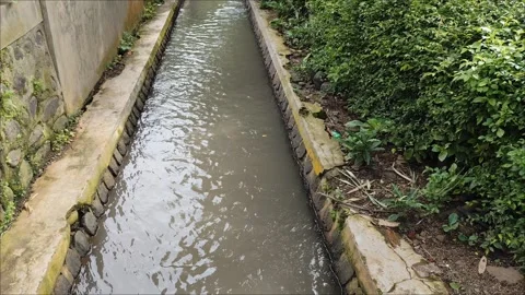 River water flow Stock Footage 297081093