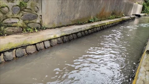 River water flow Stock Footage 297081369