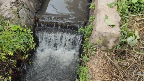 River water flow Stock Footage 297090637