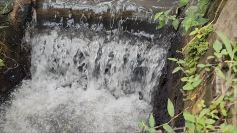 River water flow Stock Footage 297090638