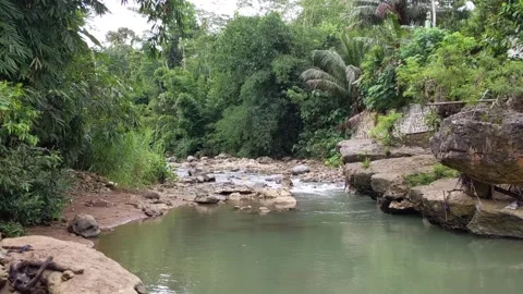 River water flow with lots of rocks Stock Footage 333123195