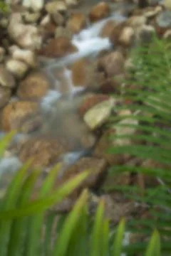 River water flow Stock Photos